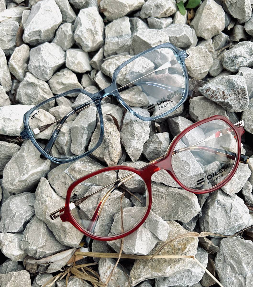 DILEM : UNE MARQUE DE LUNETTES DE VUE À VELAUX